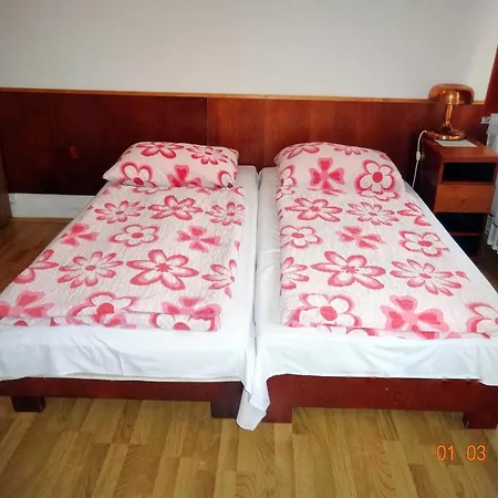 Botax Hostal *