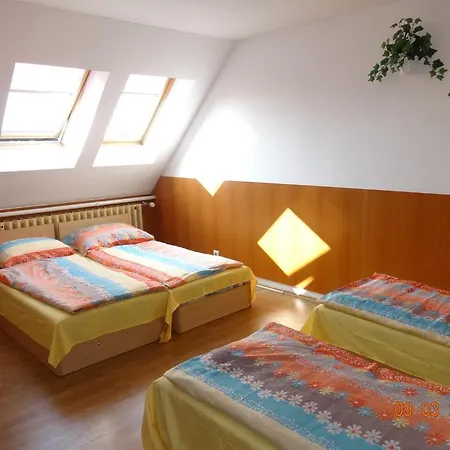 Hostal Botax *
